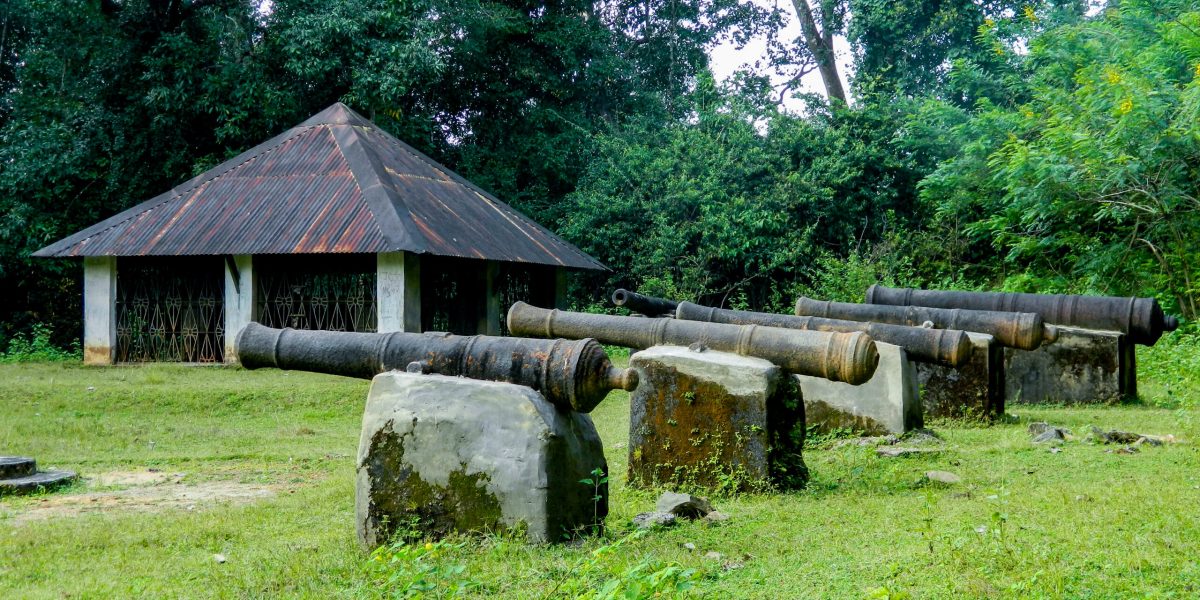 sonda fort (2) copy